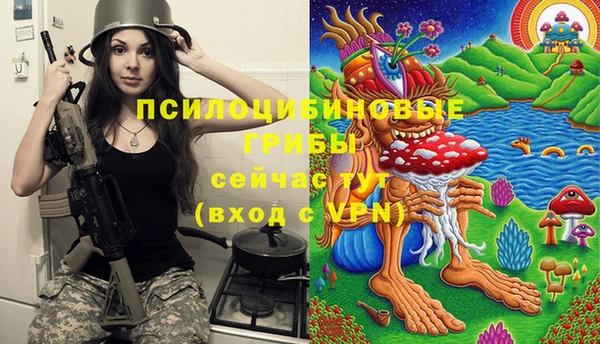 apvp Магадан