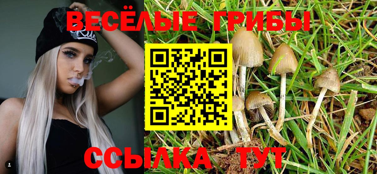 Конопля  Гашиш  Меф МЯУ МЯУ   ГАШИШ  Кандалакша  Экстази  NBOMe  Меф  Вход с VPN 