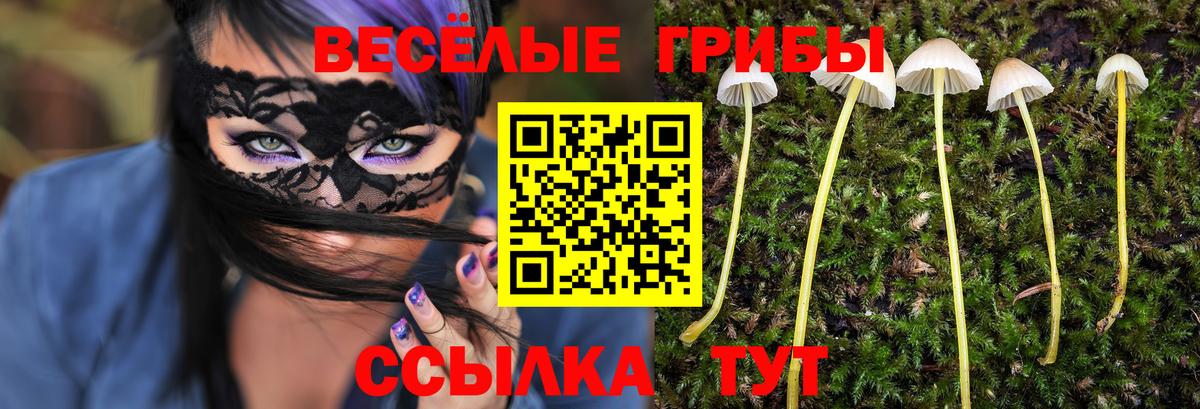 Псилоцибиновые грибы MAGIC MUSHROOMS  Вход с VPN  Кандалакша 