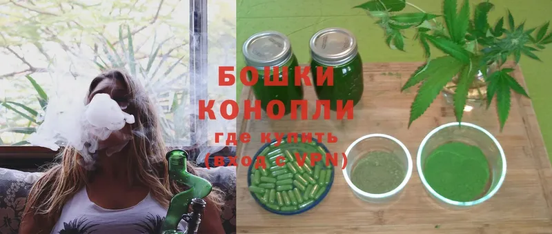 Конопля планчик  Кандалакша 